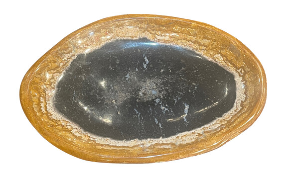 Indonesian Medium Petrified  Palm Tree Platter