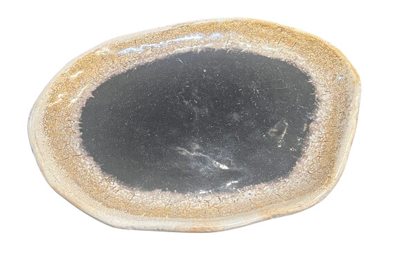 Indonesian Small Petrified  Palm Tree Platter