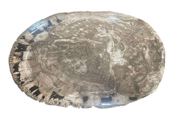 Indonesian XL Petrified Wood Platter